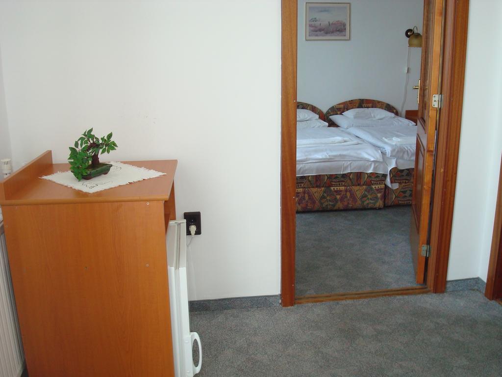 Hotel Termal Tiszaújváros Værelse billede